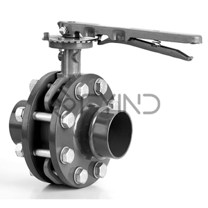 Butterfly Valve
