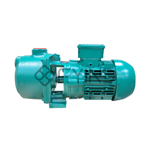 Centrifugal Pump