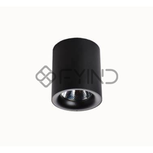 General Purpose Downlight