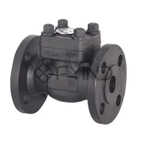 Check Valve