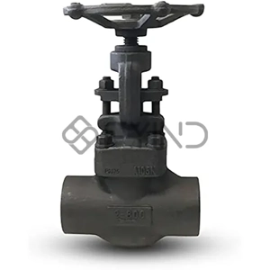 Globe Valve