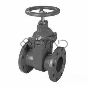 Gate Valve