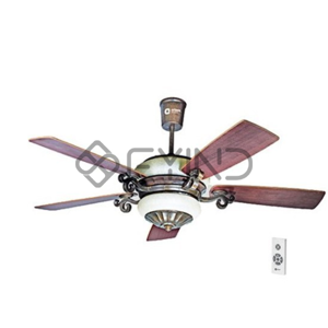 Ceiling Fan