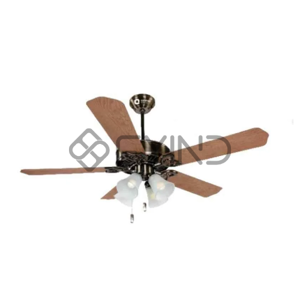 Ceiling Fan