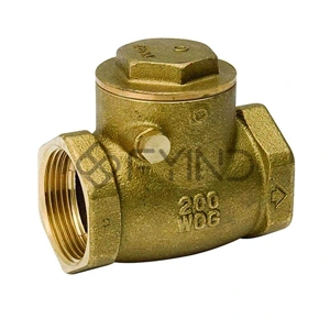 Check Valve