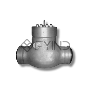 Check Valve