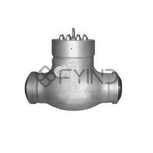 Check Valve