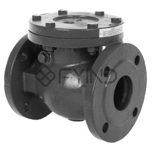 Check Valve