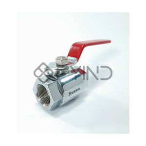 Ball Valve