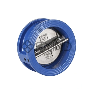 Swing Check Valve