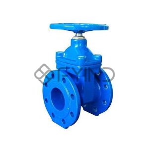 Ductile Iron Valve