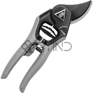 Pruning Shear