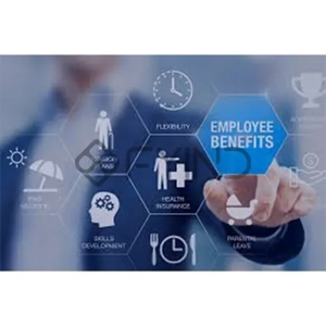 Employee Compensation or Benefits Management Service