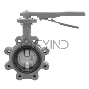 Butterfly Valve
