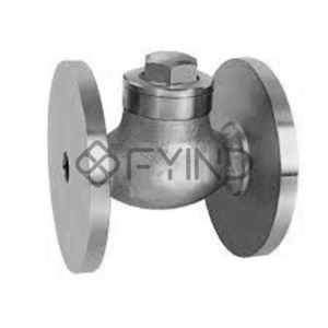 Check Valve
