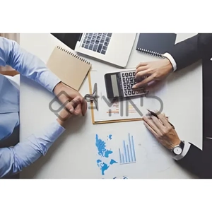 Financial Consultancy Service