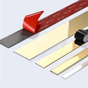 Stainless Steel Strip