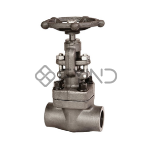 Globe Valve