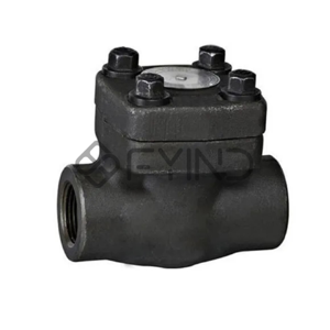 Check Valve