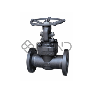 Globe Valve