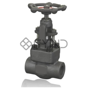 Globe Valve