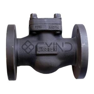 Swing Check Valve