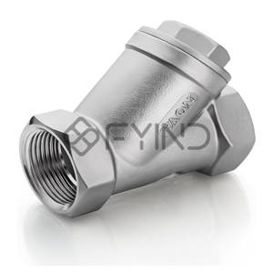 Y Strainer