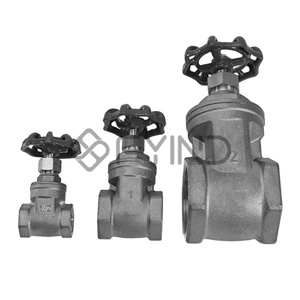 Gate Valve