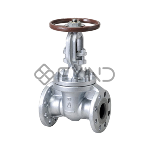 Gate Valve