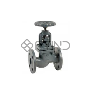 Globe Valve