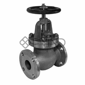 Globe Valve