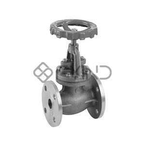 Globe Valve
