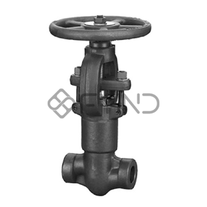 Globe Valve