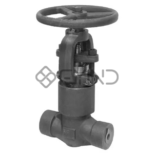 Globe Valve