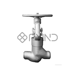 Globe Valve