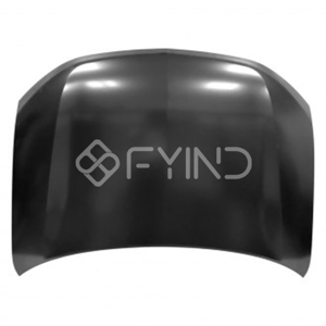 Vehicle Hood