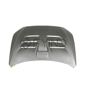 Vehicle Hood