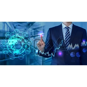 Information Technology Management Service