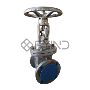 Gate Valve