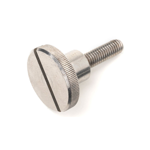 Slotted Screw