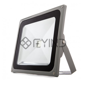 Flood Light