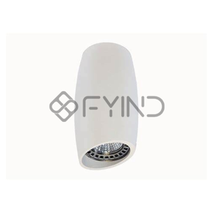General Purpose Downlight
