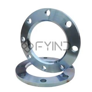 Blind Flange