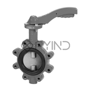 Butterfly Valve