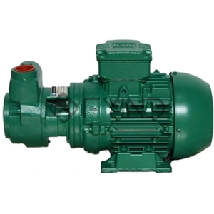 Self Priming Pump