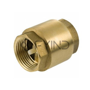 Check Valve