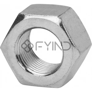 Hexagon Nut