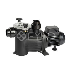 Self Priming Pump