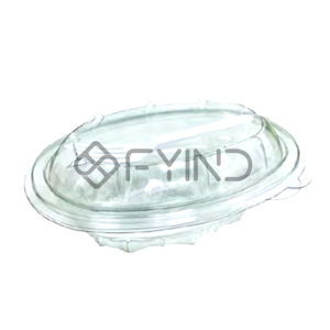 Disposable Plastic Box
