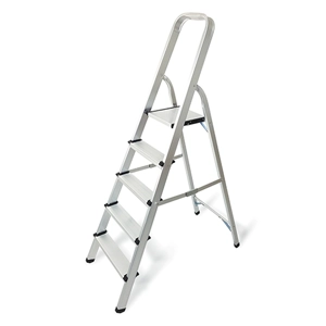 Platform Ladder